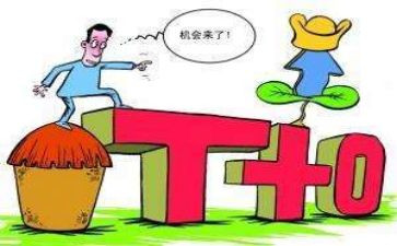 龟买卖合同参考6篇