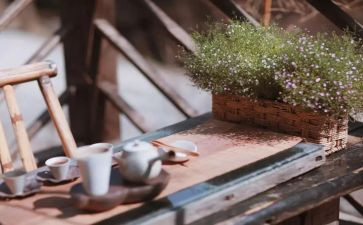 慢与快的作文8篇