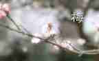 贾梅全传读后感6篇