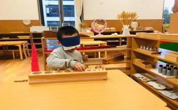 蒙氏数学个人总结参考6篇