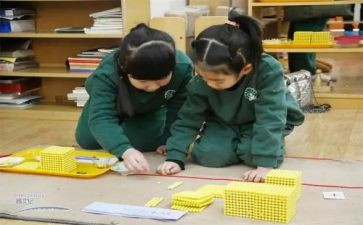 蒙氏数学教学总结5篇
