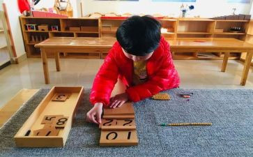 幼儿蒙氏数学10的加法教案6篇