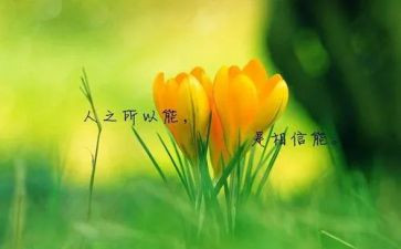 名人传记读后感5篇