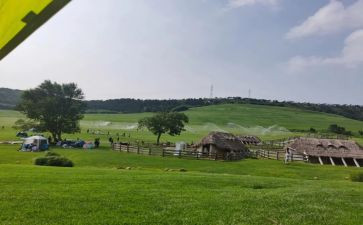 春牧场读后感7篇