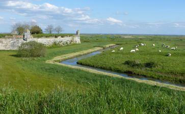 冬牧场的读后感7篇