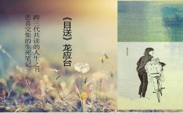 《目送》读后感800字6篇