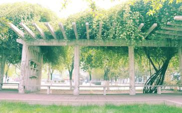 回母校的作文600字优秀6篇