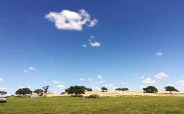 难忘的一课作文精选6篇