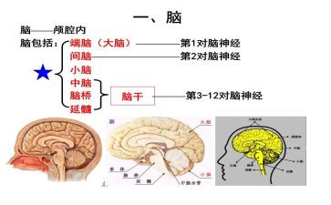 办公电脑采购合同8篇