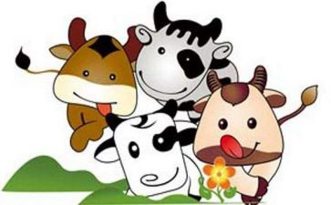 牛作文范文模板5篇