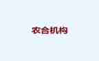 农合个人年终总结参考7篇