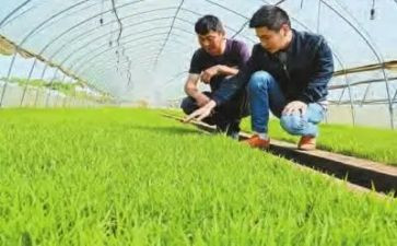 农技员年度工作计划8篇