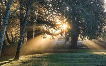 《温暖的家》教案5篇