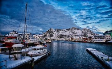 挪威森林读后感500字7篇