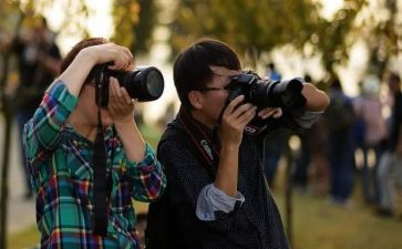 拍摄鸟的心得8篇