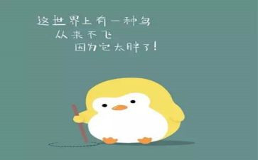 胖是我的烦恼作文优秀6篇