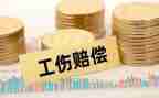 劳动赔偿申请书6篇