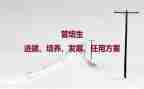 常规培养月工作计划5篇