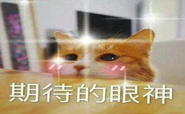 我期待着作文700字6篇