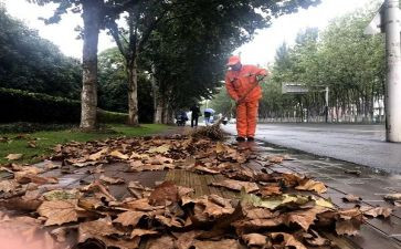 清扫月活动总结5篇