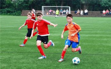 高中生暑假青训心得体会范文7篇