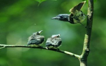 关于亲情作文600字6篇