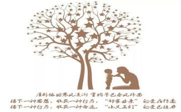 关于亲情作文800字8篇