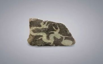 黄山奇石教案推荐5篇