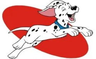 犬培训总结5篇