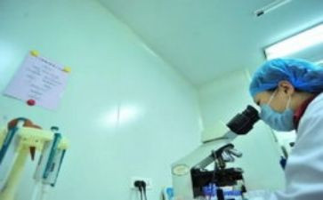 八年级物理个人工作计划6篇