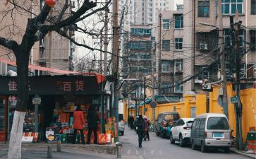 在人间我的大学读后感6篇