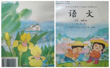 老师个人教学工作总结7篇