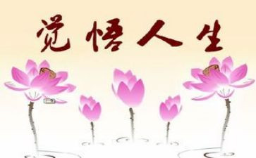 人生由我心得体会模板5篇