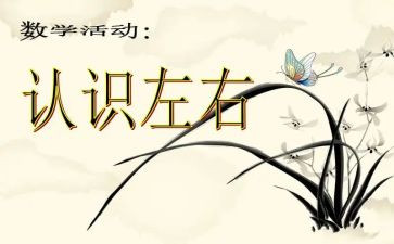认识车幼儿园教案7篇