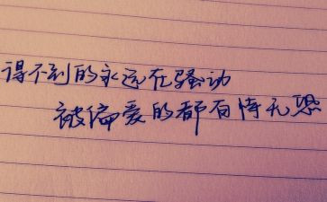 公司个人心得体会精选8篇