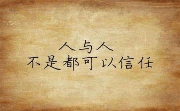 公司个人心得体会最新5篇