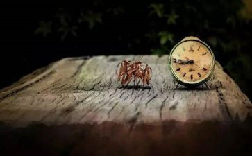 销售工作个人心得参考8篇