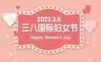 三八主题活动总结6篇