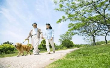 散步的优秀作文7篇