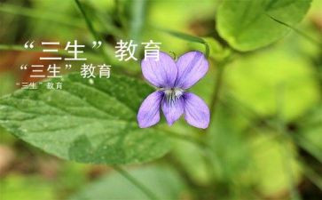 对三生心得体会模板6篇