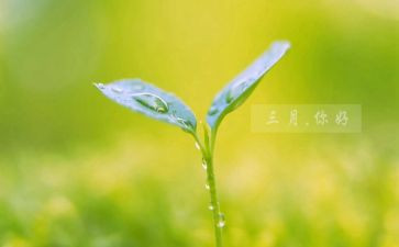 幼儿三月工作总结7篇