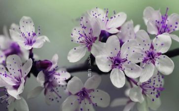 《三月》读后感5篇