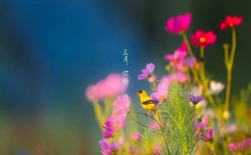 员工等三月度工作总结模板8篇