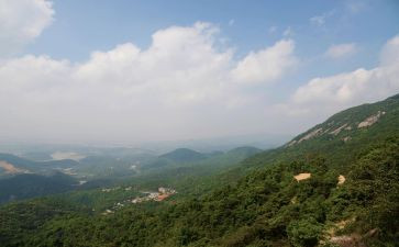 山青实践活动心得体会优质5篇