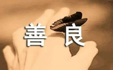 上善少年主要事迹优秀7篇