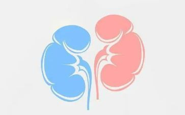 肾内科月总结模板6篇