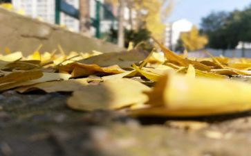 榜样就在身边演讲稿7篇