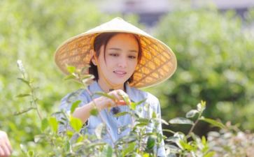 生活精彩的作文作文参考5篇