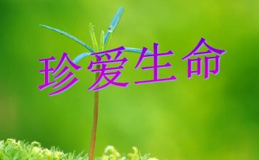 生命与的心得体会优质6篇