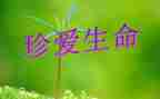 安全与生命的演讲稿优质8篇